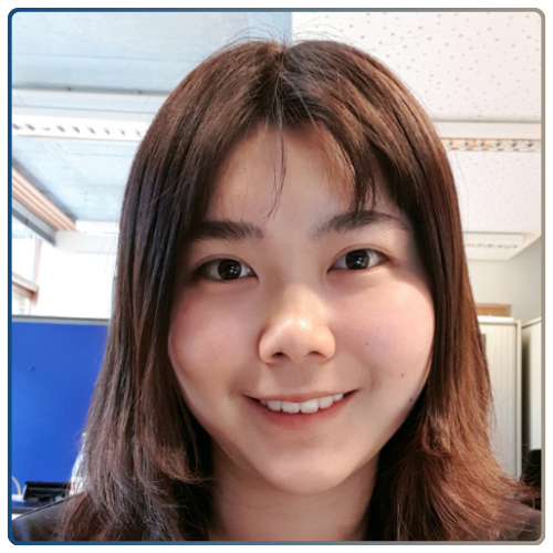 Dr Zhaoqi Bin