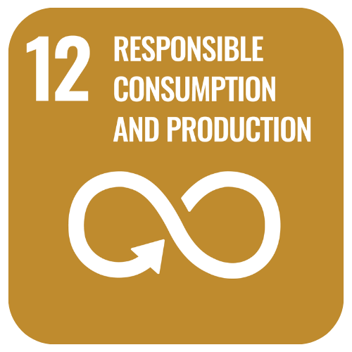 SDG 12 - Responsible Consumption and Production