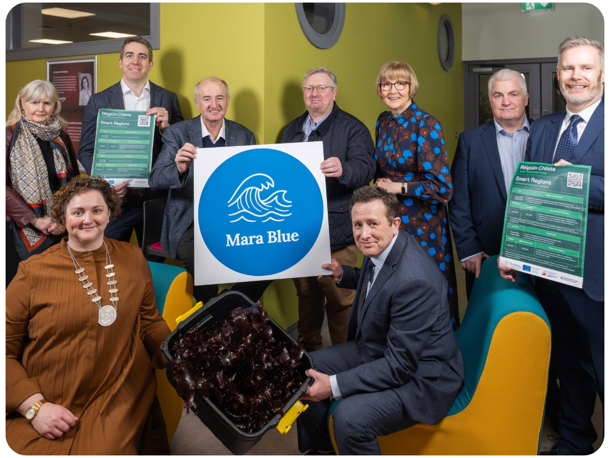 SDG 17: Partnerships for the Goals - Mara Blue Project