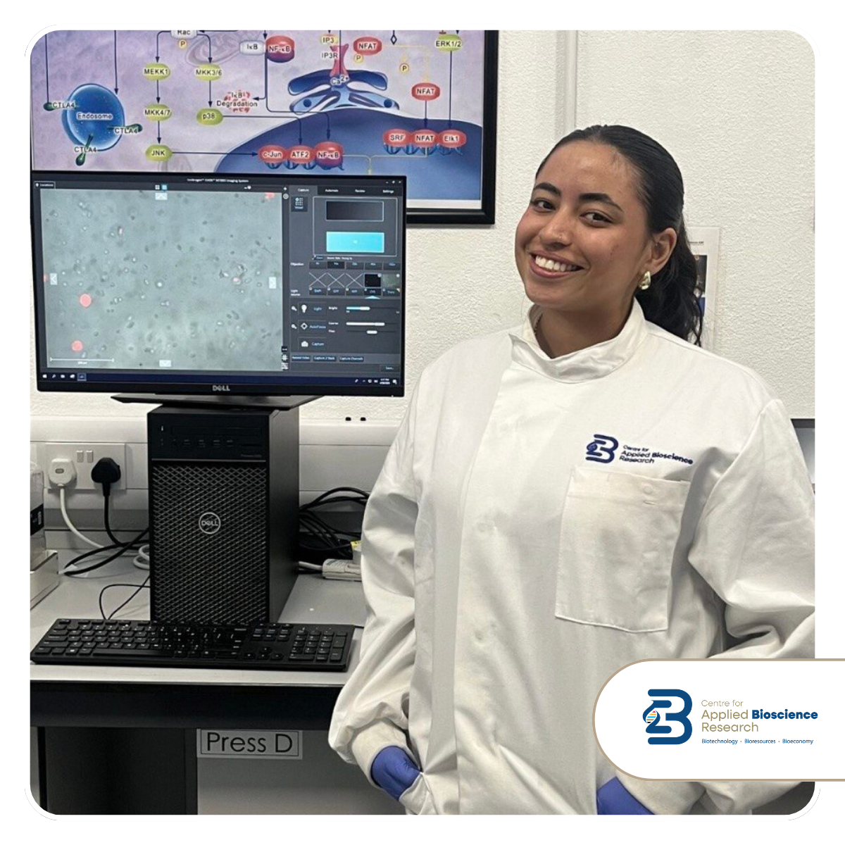 Developing Hydrogel-Based Lung Models to Study Diseases and Test New Medicines (CABR Research Work Spotlight)