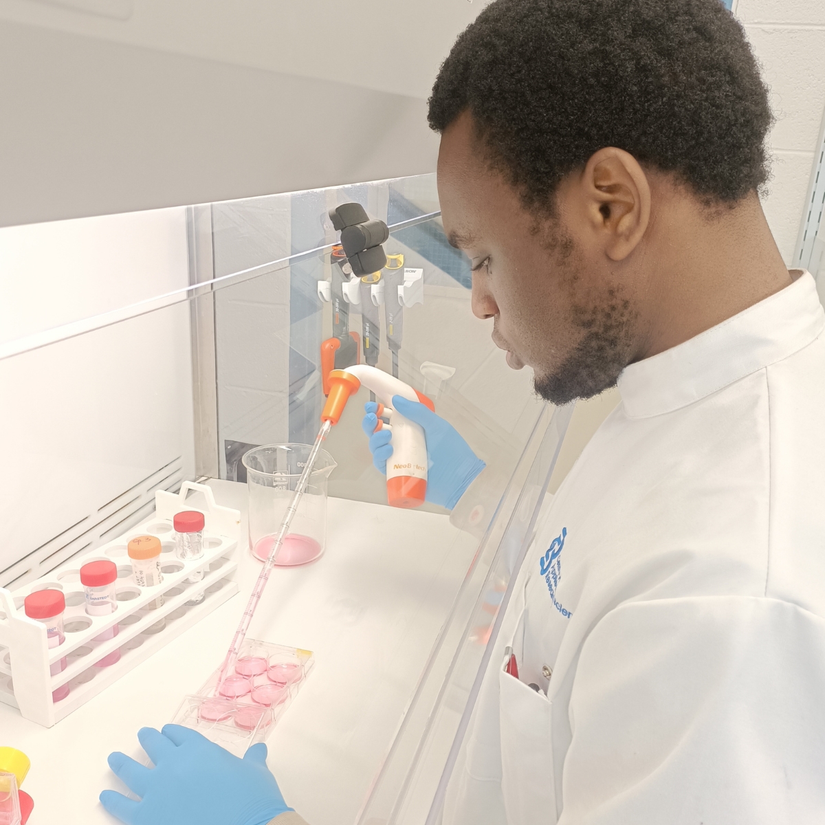 Transforming Irish Sheep Wool into High-Value Bioactive Ingredients for Cosmetic and Biomedical Applications (CABR Research Work Spotlight) Transforming Irish Sheep Wool into High-Value Bioactive Ingredients for Cosmetic and Biomedical Applications (CABR Research Work Spotlight)