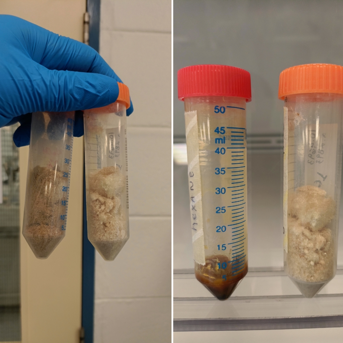 Transforming Irish Sheep Wool into High-Value Bioactive Ingredients for Cosmetic and Biomedical Applications (CABR Research Work Spotlight) Transforming Irish Sheep Wool into High-Value Bioactive Ingredients for Cosmetic and Biomedical Applications (CABR Research Work Spotlight)
