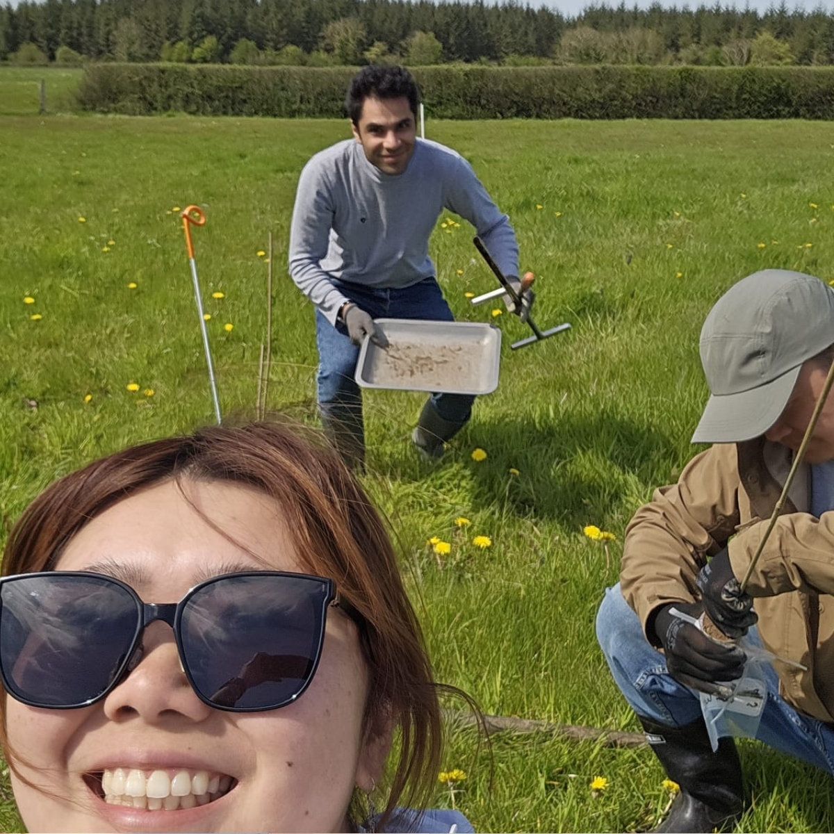 How Can Research Help Improve Soil Health and Biodiversity? (CABR Research Work Spotlight) How Can Research Help Improve Soil Health and Biodiversity? (CABR Research Work Spotlight)