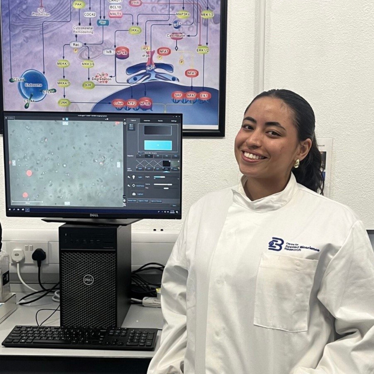 Developing Hydrogel-Based Lung Models to Study Diseases and Test New Medicines (CABR Research Work Spotlight) Developing Hydrogel-Based Lung Models to Study Diseases and Test New Medicines (CABR Research Work Spotlight)