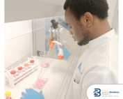Transforming Irish Sheep Wool into High-Value Bioactive Ingredients for Cosmetic and Biomedical Applications (CABR Research Work Spotlight)