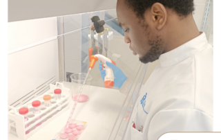 Transforming Irish Sheep Wool into High-Value Bioactive Ingredients for Cosmetic and Biomedical Applications (CABR Research Work Spotlight)