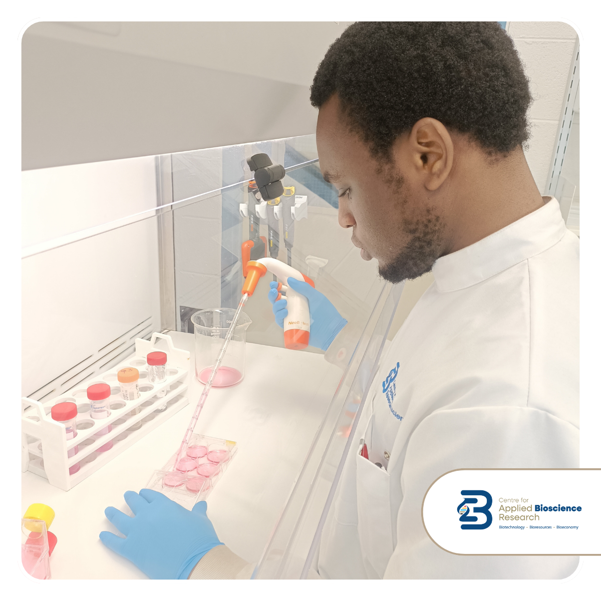 Transforming Irish Sheep Wool into High-Value Bioactive Ingredients for Cosmetic and Biomedical Applications (CABR Research Work Spotlight)